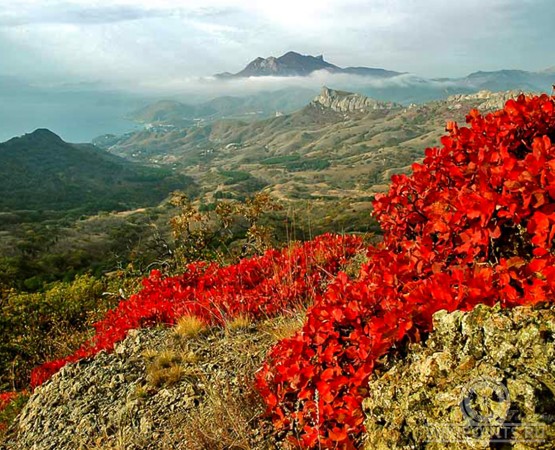 Карадагский природный заповедник на wikipoints.ru
