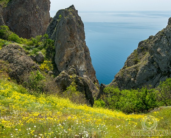 Карадагский природный заповедник на wikipoints.ru