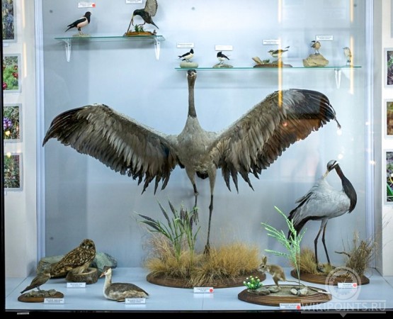 Музей природы Карадага на wikipoints.ru