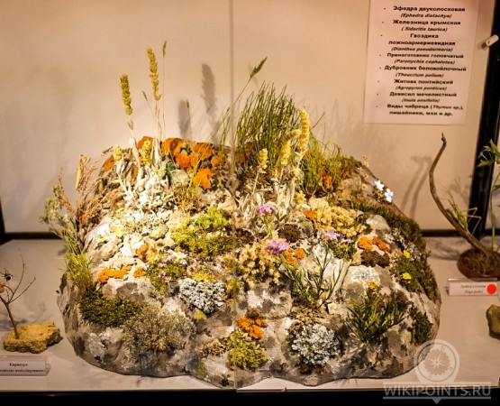 Музей природы Карадага на wikipoints.ru