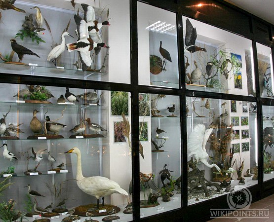 Музей природы Карадага на wikipoints.ru