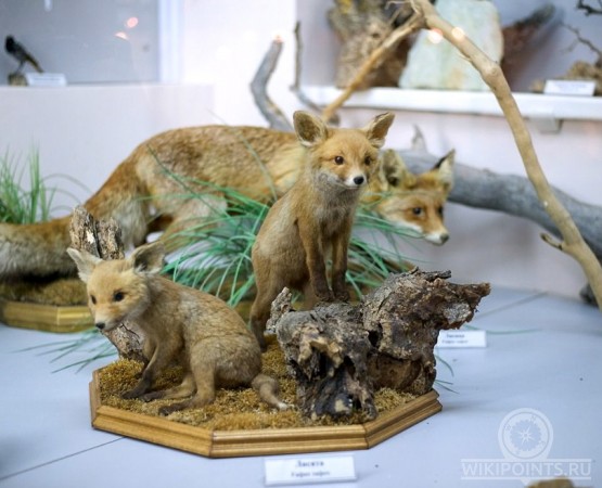 Музей природы Карадага на wikipoints.ru