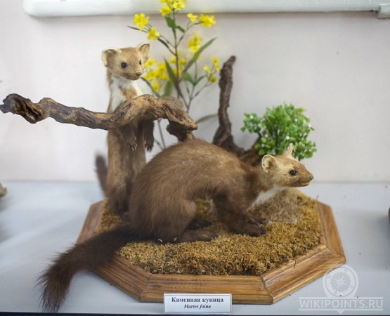 Музей природы Карадага на wikipoints.ru