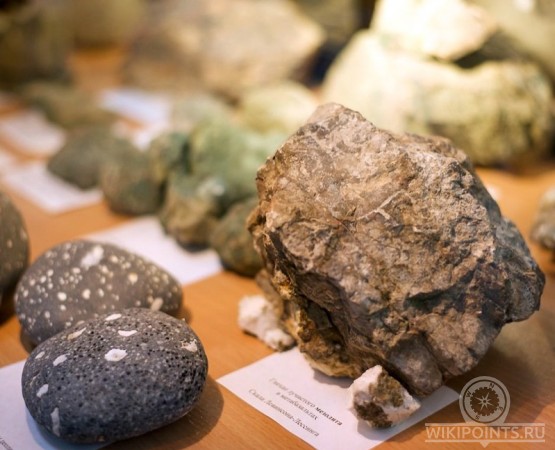 Музей природы Карадага на wikipoints.ru