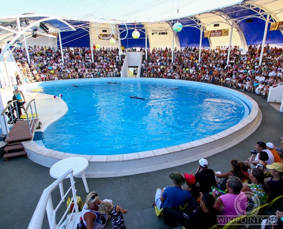 Дельфинарий Коктебель на wikipoints.ru