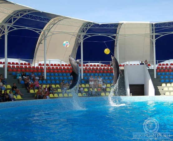 Дельфинарий Коктебель на wikipoints.ru