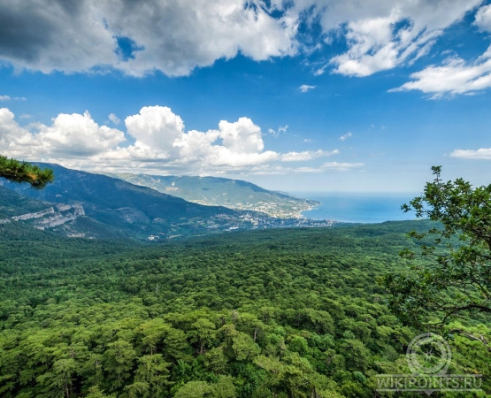 Серебряная беседка на wikipoints.ru