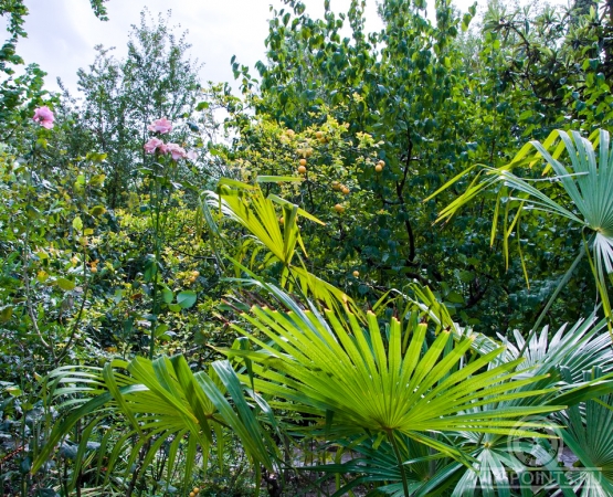 Дом-музей Белая дача на wikipoints.ru