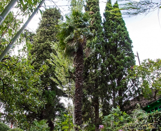 Дом-музей Белая дача на wikipoints.ru