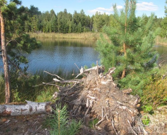 Заброшенные посёлки - Русская Америка на wikipoints.ru