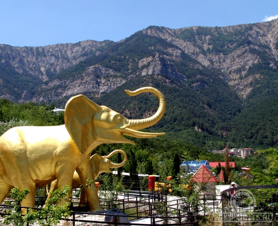 Ялтинский зоопарк Сказка на wikipoints.ru