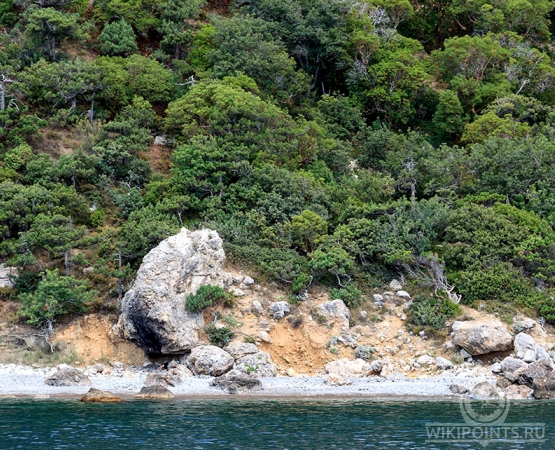 Заповедник Мыс Мартьян на wikipoints.ru