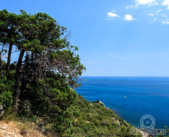 Заповедник Мыс Мартьян на wikipoints.ru