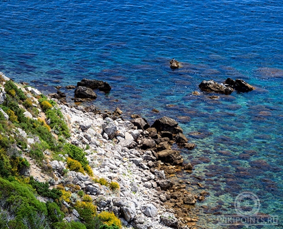 Заповедник Мыс Мартьян на wikipoints.ru