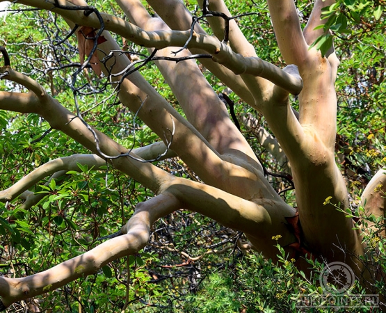 Заповедник Мыс Мартьян на wikipoints.ru