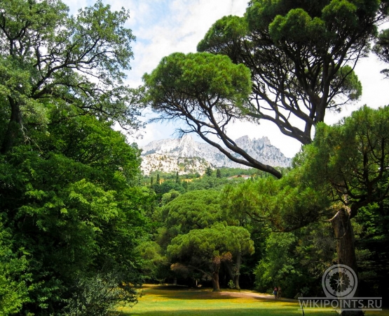 Массандровский парк на wikipoints.ru