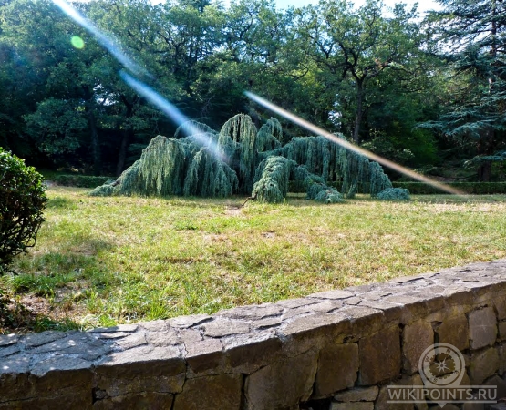 Массандровский парк на wikipoints.ru