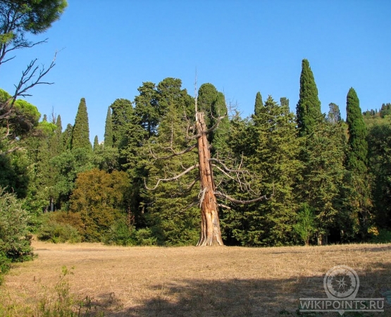 Массандровский парк на wikipoints.ru