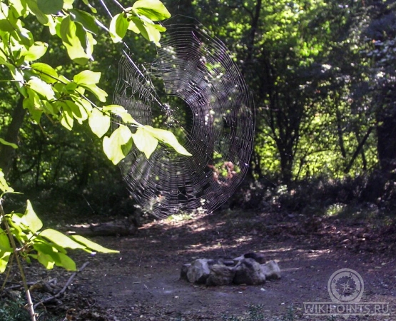 Массандровский парк на wikipoints.ru