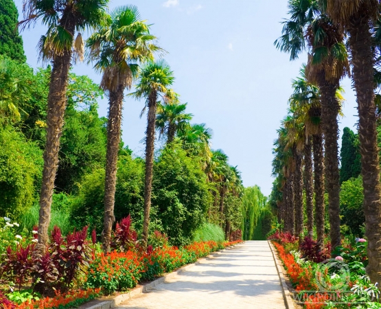 Никитский ботанический сад на wikipoints.ru