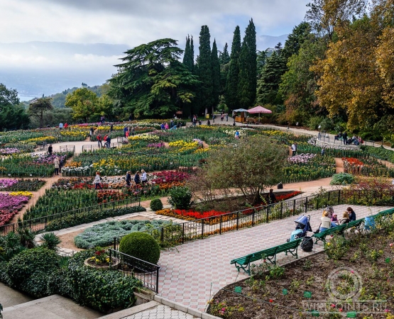 Никитский ботанический сад на wikipoints.ru