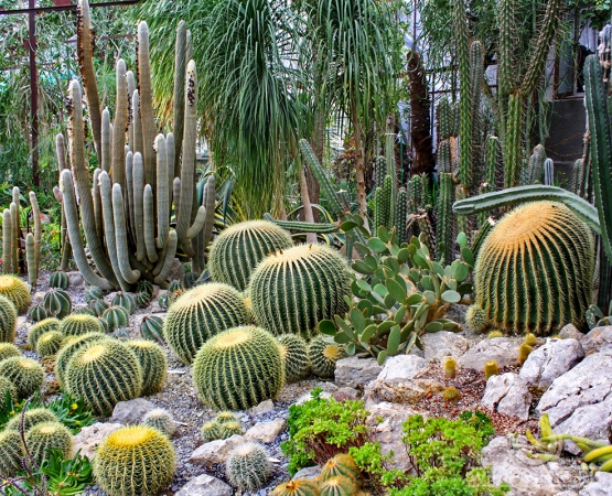 Никитский ботанический сад на wikipoints.ru