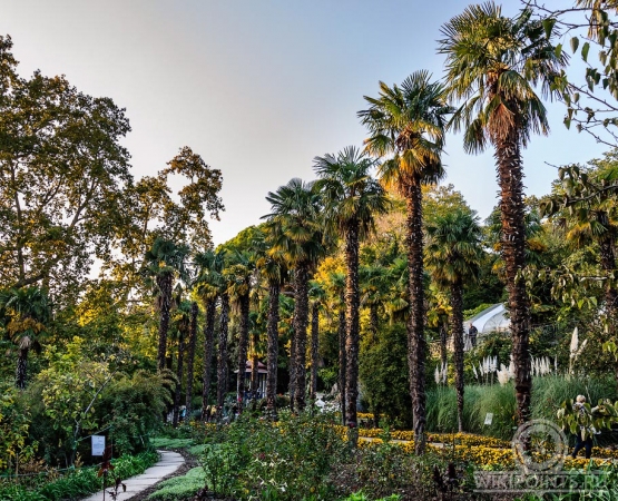 Никитский ботанический сад на wikipoints.ru