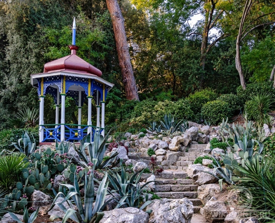 Никитский ботанический сад на wikipoints.ru