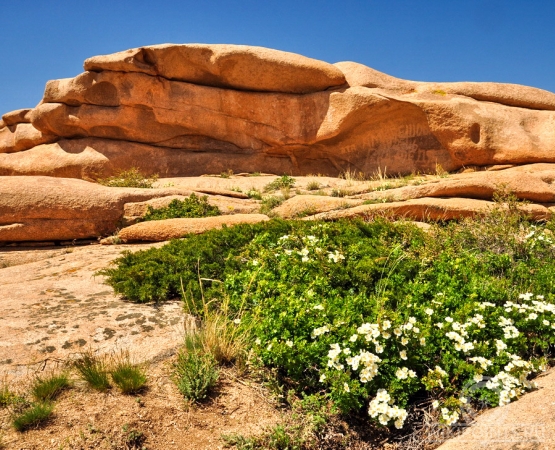 Урочище Бектау-Ата на wikipoints.ru