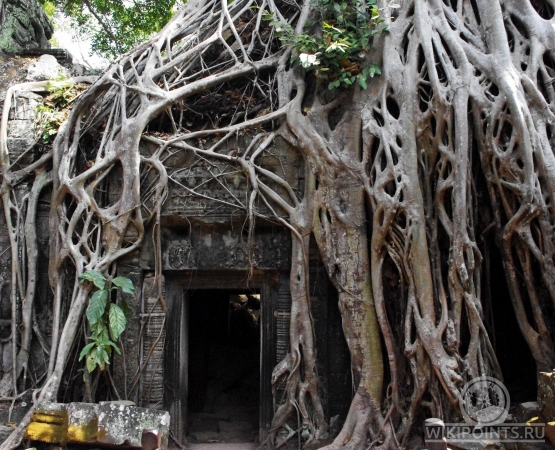 Та Прум на wikipoints.ru