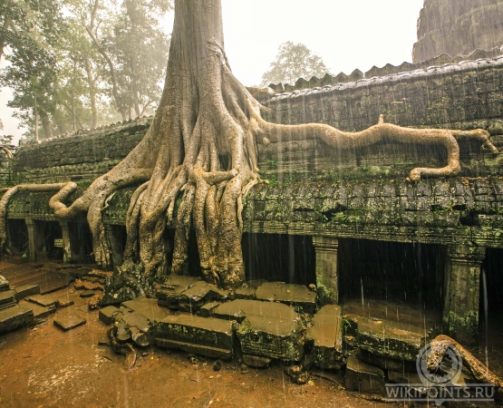 Та Прум на wikipoints.ru