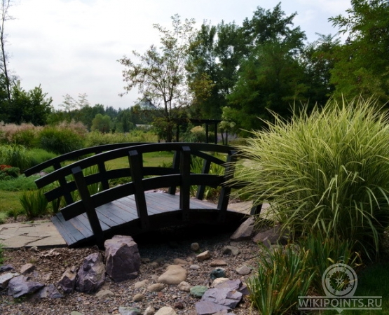 Ботанический сад на wikipoints.ru