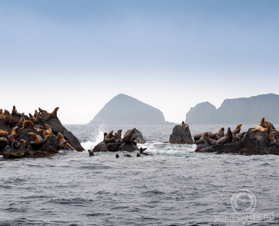 Остров Монерон на wikipoints.ru