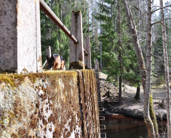 Плотина затопления «Игла» на wikipoints.ru