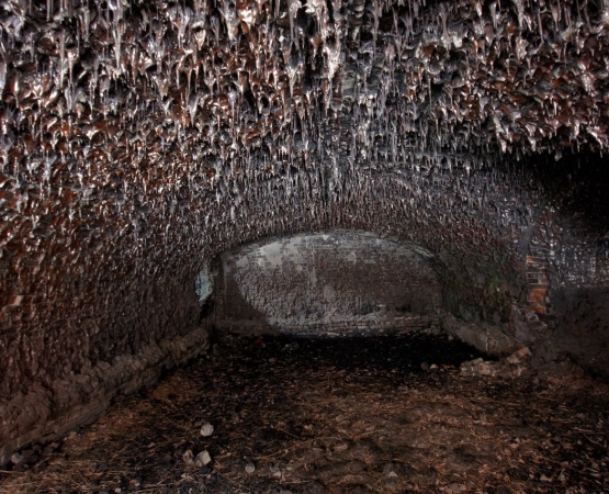 Форт Зверев на wikipoints.ru