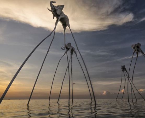 Площадка Казантип Эпизод на wikipoints.ru