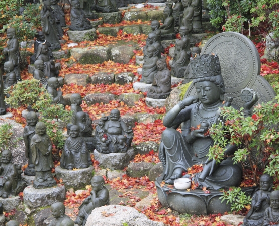 Храм Дайсё-ин на wikipoints.ru