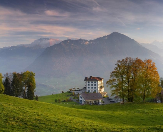 Отель Villa Honegg на wikipoints.ru