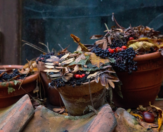 Переулок Катарины на wikipoints.ru