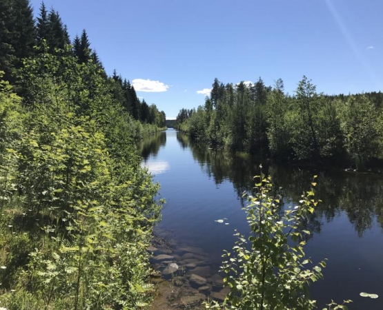 Кукотайпальской канал (Суворовские сайменские каналы) на wikipoints.ru