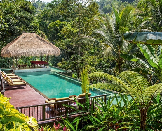 Отель Висячие сады Убуда на wikipoints.ru