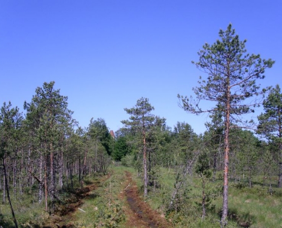 Церковь Спаса Преображения на wikipoints.ru