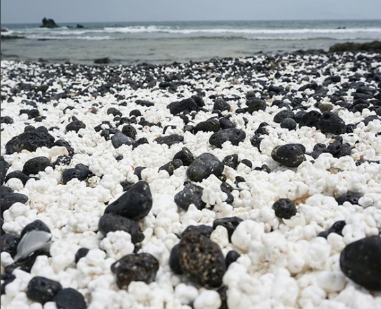 Пляж из попкорна на wikipoints.ru