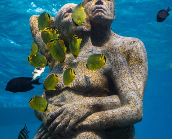 Подводный парк скульптур на wikipoints.ru