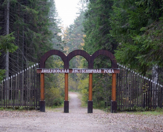 Линдуловская роща на wikipoints.ru