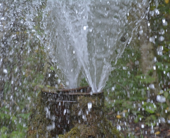 Гатчинские гейзеры на wikipoints.ru