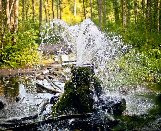 Гатчинские гейзеры на wikipoints.ru