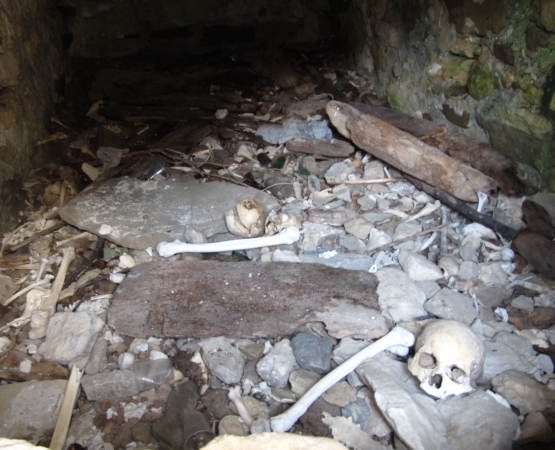 Город мёртвых в селе Даргвас на wikipoints.ru