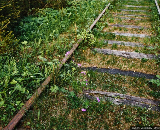 Каменный арочный мост на wikipoints.ru