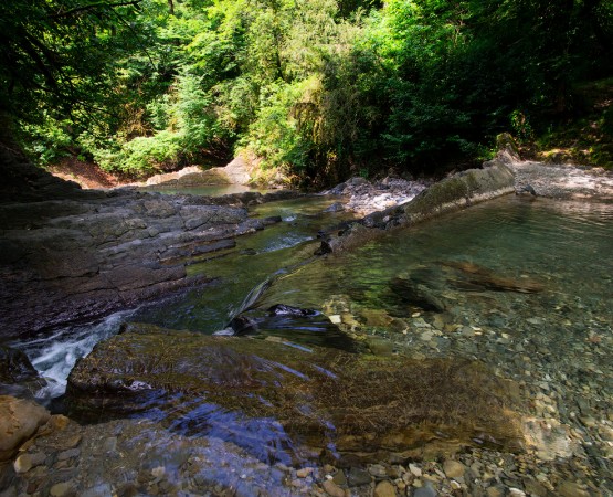 Дагомысские корыта на wikipoints.ru